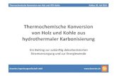 Thermochemische Konversion von Holz und Kohle aus ... Thermochemische Konversion von Holz und HTK-Kohle