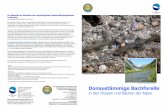 Donaustämmige Bachforelle - Fishlife · 2017-06-25 · Ihr Ansprechpartner in Österreich: ÖKF Österreichisches Kuratorium für Fischerei und Gewässerschutz A-1230 Wien, Breitenfurter