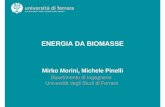ENERGIA DA BIOMASSE · 2019-01-30 · ENERGIA DA BIOMASSE Mirko Morini, Michele Pinelli • La biomassa è una fonte rinnovabile (fonte energetica non fossile) da cui si possono ricavare