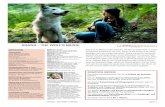Shana – the wolf‘S MuSic2) Vergleicht und diskutiert eure antworten in der gruppe Die kurze Zusammenfassung des Filminhalts auf den Werbematerialien (Synopsis genannt) will, wie