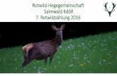 Rotwild-Hegegemeinschaft · Theoretischer Rotwildbestand 2016 •Letztes Jahr wurde ein Sommer Rotwildbestand von 655 Stück errechnet (510 Kahlwild + 145 Hirsche). •Im Jagdjahr