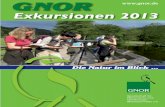 Exkursionen 2013 - GNORgnor.de/pdf/Exkursionskalender_GNOR_2013.pdf · 2014-09-19 · Alles im Fluss – Kanu- und Kajakexkursion auf der Lahn ... NABU on Tour 2013 – UNESCO Weltkulturerbe