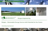 Biogas Engineering Biogas – Renewable Energy Source with ... · investment subsidy of up to 50 %, wake inflation adjustment. Company profile 2010 ... PowerPoint-Präsentation Author: