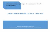 Jahresbericht 2019 der Firma Waldburger Ingenieure AG den Auftrag zur أœberarbeitung der Schutzzonen-Reglemente