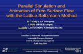 Parallel Simulation and Animation of Free Surface Flow ... · Shallow Water Coupling Fluid Control. 3 Overview The LBM Algorithm Free Surfaces Applications Metal Foams Nano Particles