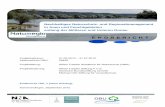 E N D B E R I C H T - DBU - Deutsche Bundesstiftung Umwelt · 2013-04-18 · E N D B E R I C H T. in Auen und Feuchtgebieten . entlang der Mittleren und Unteren Donau . Nachhaltiges