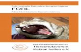 FORL - Schmerzhafte Zahnerkrankung bei Katzenkatzenhelfen.org/download/Broschuere-FORL_TSV-Katzen-helfen.pdf · Die Entfernung der Canini, vor allem mit Ent-fernung der Wurzel ist