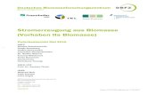 Stromerzeugung aus Biomasse (Vorhaben IIa Biomasse) · 2016-09-28 · Stromerzeugung aus Biomasse (Vorhaben IIa Biomasse) Zwischenbericht Mai 2015 DBFZ Mattes Scheftelowitz Nadja