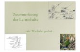 Zusammenfassung der Lehrinhalte - univie.ac.athomepage.univie.ac.at/gerhard.withalm/downloads/VO... · 2007-11-24 · • Th. Huxley (1867 ff.): Vögel sind Reptilien (Vögel + Reptilien