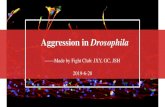 Aggression in Drosophilapanylab.org/.../2019/07/2019-06-28-journal-club-PPT.pdf · 2019-07-09 · Modulation of Drosophila aggression by sensory stimuli, social interaction, and prior
