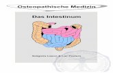 Osteopathische Medizin Das Intestinumosteopedia.iao.be/uploads/intestinum_de_demo.pdf · 2013-08-30 · Syndrom, Sinusitis, Migräne und Rheuma. Die beteiligten Organe müssen daher