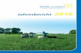 Jahresbericht 2018 Hauptdokument AD …...(Förderprojekt - neu ab August 2017) 12 - 15 Aktino – Kontakt- und Beratungsstelle und Sozialberatung in der Gießener Nordstadt 16 - 21