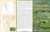Las Hoyas: A Cretaceous W etland 9-2016 E-mail Address Las ...P art II unfolds the palaeobiology of the different groups of plants and animals recorded at Las Hoyas by providing an