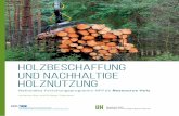 Holzbeschaffung und nachhaltige Holznutzung...Die Ergebnisse und Empfehlungen des NFP66 ... 32 Das NFP 66 in Kürze Inhalt. 5 Manch ein Forstarbeiter kann ein Lied davon singen, wie