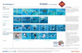 Grundlagen 7 Eisbär (6- bis 8-jährig) - swimsports.chDie Schweizerischen Tests im Schwimmsport, ein Produkt von swimsports.ch, dem Kompetenzzentrum für Ausbildungen im Schwimmsport