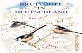 Brutvögel in - Dachverband Deutscher Avifaunisten€¦ · Bemerkenswert ist nach wie vor das enorme Interesse unter den Avifaunisten am ADEBAR-Projekt. ... schutz und Reaktorsicherheit,