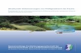 Strukturelle Verbesserungen von Fließgewässern für Fische · (Rheinland-Pfalz) (Foto: Jörg Schneider) Lockere, saubere Kiesablagerungen bilden die Laichplätze von Lachs, Meerforelle