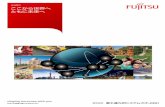 Business Guide - Fujitsu...FQSポーランド有限会社 442億円（2016年度連結） 1,498名（2017年6月現在 連結） 1981年7月20日 Company Profile 会社概要 役員構成