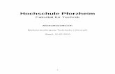 AnhangB Modulhandbuch TI Nie fb06 - FH Pforzheimeitidaten.fh-pforzheim.de/daten/ti/studium/studienplan/modulhandbu… · Hochschule Pforzheim Fakultät für Technik Modulhandbuch