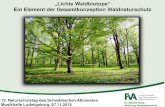 „Lichte Waldbiotope“ Ein Element der Gesamtkonzeption … · 2015-11-11 · „Lichte Waldbiotope“ Ein Element der Gesamtkonzeption Waldnaturschutz Dr. Mattias Rupp Abteilung