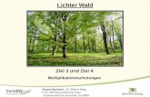 Lichter Wald - ForstBW · 2 ForstBW Gesamt-konzeption Waldnaturschutz MLR, LUBW Naturschutz-strategie für Wald & Offenland • Lichtbaumarten fördern (Ziel 2) •Lichte naturnahe