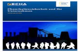 Chemikaliensicherheit und Ihr Unternehmen - Europaecha.europa.eu/documents/10162/21332507/guide_chemical_safety_… · Chemikaliensicherheit und Ihr Unternehmen . Einführung für