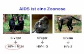 AIDS ist eine Zoonose · LPV/r + EFV 62 LPV/r 46 EFV 19 Haubrich R, et al. 14th CROI, Los Angeles, February 25-28, 2007. Abst. 38 ACTG 5142 Multicenter AIDS Cohort Study 50 HIV-negative