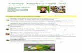 Giesinger Naturerkundungen 2017 - Green City · Giesinger Naturerkundungen 2017 Mit der Grünspitz-Imkerin entdecken, was die Natur in Giesing im Laufe eines Jahres zu bieten hat.