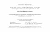 TUM · PDF file Lehrstuhl für Mikrobiologie der Technischen Universität München Anaerobic, solvent-producing bacteria: Molecular characterisation, polysaccharolytic activity and