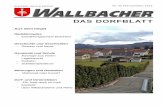 DAS DORFBLATT - Der Wallbacherderwallbacher.ch/wsb/data/documents/wallbacher65_kl.pdfWer die Analyse seriös macht, stellt fest, dass vieles, was früher sinnvoll war, einfach nicht