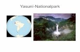 Yasuní-Nationalpark€¦ · Regeln Lasst euch ein und füllt die Rollen aus! Bleibt in der Rolle, keine Pausen Ihr dürft frei dazu erfinden Fast alle Mittel sind erlaubt, um eure