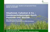 Glyphosat, Cybutryn & Co. - Gewässerbelastungen durch ... · Teil des internationalen Pesticide Action Network ... *Daten-Quelle: BVL (2015) Inlandsabsatz und Export von Pflanzenschutzmitteln.