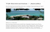 TUI-Seminarreise – Jamaika · Royal Decameron Club Caribbean, welcher sich ca. 90 Minuten östlich von Montego Bay an der Runaway Bay befindet. Dort wartete bereits eine Reggae