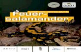 Feuersalamander Broschüre DINA5 Innenseiten · Dr. Benedikt R. Schmidt, Silvia Zumbach (CH): Koordinationsstelle für Amphibien- und Reptilienschutz in der Schweiz (karch) Edmée