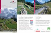 ViaValtellina – Vielfalt der alpinen Kultur€¦ · 5 Blick von Alp Grüm auf den Palügletscher Package ViaValtellina Standard 9 Tage Schruns–Tirano Preis Pro Person im Doppelzimmer