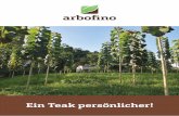 Ein Teak persönlicher! - arbofino · Indien, Myanmar, Laos und Thailand. In Indo-nesien wurde der Teakbaum bereits Mitte des 17. Jahrhunderts durch Holländer in Plantagen angebaut.