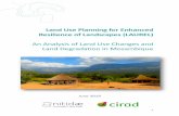 June 2019 - nitidae.org€¦ · 2 An Analysis of Land Use Changes and Land Degradation in Mozambique Authors: Clovis Grinand1, Agnès Bégué2, Frédérique Montfort1, Louise Leroux3,