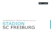 Plausibilitätsprüfung - IFS Kostenschätzung - 03.09.2014 ... · Stadion im Borussia-Park Mönchengladbach, Allianz Arena München, Grundig Arena Nürnberg, Mercedes-Benz-Arena