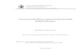 Screening of Bioaffinity Ligands for Human Soluble COMT ... · “Screening of Bioaffinity Ligands for Human Soluble COMT Purification” Sara Rute Afonso Costa Dissertation for purpose