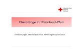 Flüchtlinge in Rheinland-Pfalz...DRK-Landesverband Rheinland-Pfalz Abteilung III Folie 4 Aufnahmeproblematik in RLP 1990, 1996 und 2013 0 5.000 10.000 15.000 20.000 25.000 21.081