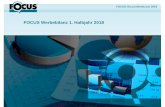 FOCUS Werbebilanz 1. Halbjahr 2018...FOCUS eruiert auch für das erste Halbjahr 2018 eine Hochrechnung der gesamten Online-Spendings. Eine Integration dieser Eine Integration dieser