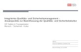 Integriertes Qualitäts-und Sicherheitsmanagement ...ifev.rz.tu-bs.de/SiT_SafetyinTransportation/SiT_10/... · Erleichterungen und Anreize für gewünschte Verhaltensweisen ... DB