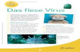 Arbeitsblatt 1 von „Die Welt der Viren“ · 2020-03-24 · die gesunde Person übertragen werden. Man steckt sich an. 1 5 10 15 Übeltäter Corona Es gibt viele verschiedene Viren: