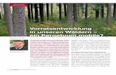 Vorratsentwicklung in unseren Wäldern – ein Perpetuum mobile? · 2019-05-06 · ein Perpetuum mobile? Buchenvoranbau unter Fichtenschirm im Harz Foto S.4–6 : Markus Ziegeler