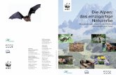 Die Alpen: das einzigartige Naturerbeawsassets.panda.org/downloads/broschure_alps_d_jan04...Pflanzen, Tiere und Lebensräume. Diese Karte zeigt, wo wir zuerst handeln müssen und ergänzt