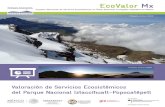 EcoValor Mx - Conservation Strategy Fund · Armando Rodríguez Briseño y Concepción Velazco Samperio ... tricos, sino que también resume lar-gas sesiones de trabajo, talleres de