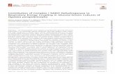 Contribution of Complex I NADH Dehydrogenase to Respiratory … · Contribution of Complex I NADH Dehydrogenase to Respiratory Energy Coupling in Glucose-Grown Cultures of Ogataea