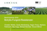 Beerenseminar 2018 Botrytis-Fungizid-Resistenzen · 2018-12-04 · Beerenseminar 2018. Botrytis-Fungizid-Resistenzen. Christian Wohler, Carole Werdenberg, Hagen Thoss, Marilena Palmisano,