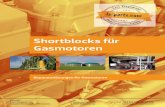 Shortblocks für Gasmotoren - Willkommen bei LS Parts€¦ · Shortblocks für Gasmotoren Reparaturlösungen für Gasmotoren Vetrieb: Lars Siegemund Schlesienstraße 25 Tel.: +49