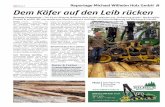 NÖN Woche # Reportage Michael Wilhelm Holz GmbH Dem Käfer … · 2020-06-08 · Die Michael Wilhelm Holz GmbH geht auf das 1970 von Johann Wilhelm gegründete Holzschläge-rungsunternehmen